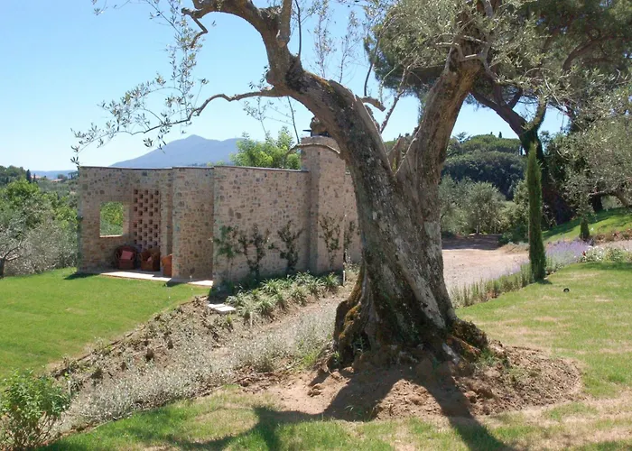 Poggio Piglia