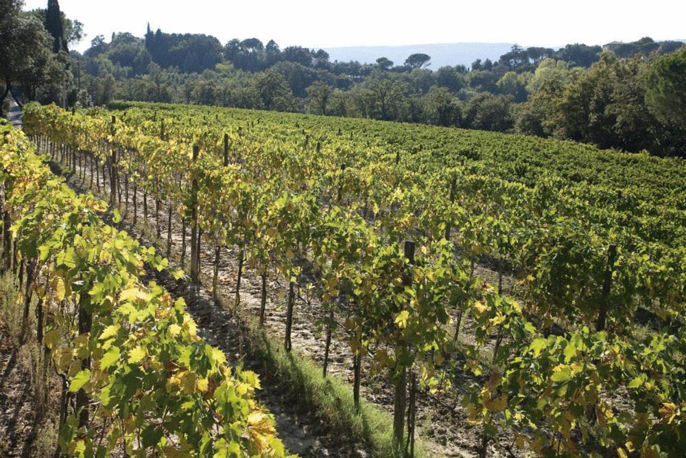 Poggio Piglia Country house